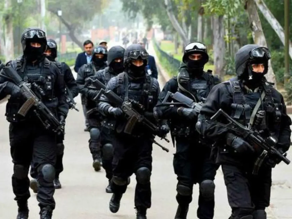 NSG Commando Salary